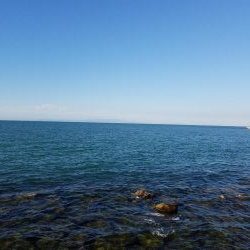 ボチボチな釣果