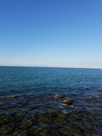 ボチボチな釣果