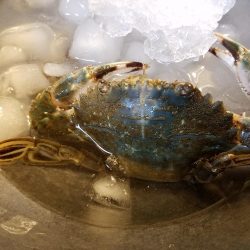 久しぶりに来ました！