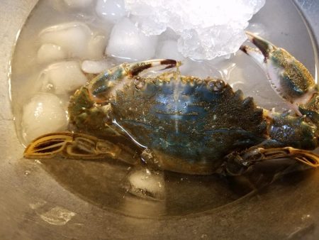 久しぶりに来ました！