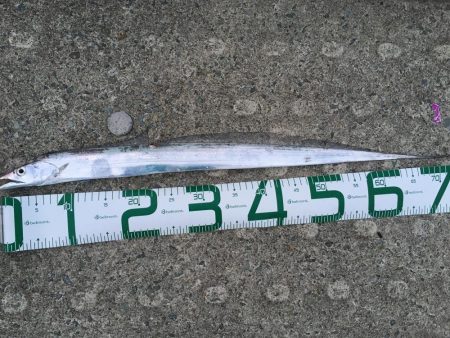 台風前のゲキシブ攻略