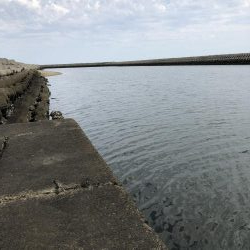 ハゼ釣りに行きました!