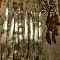 太刀魚釣り ~久し振りに満足~