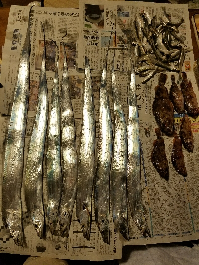 太刀魚釣り ~久し振りに満足~