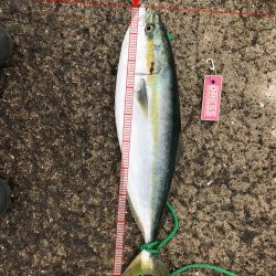 初大蔵海岸良い場所でした