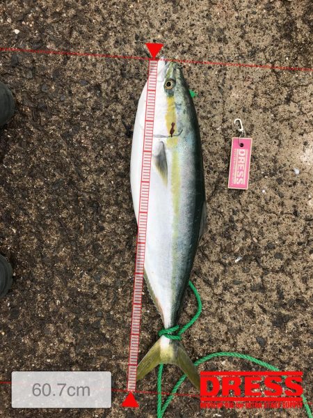 初大蔵海岸良い場所でした