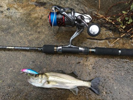 河口ライトゲーム