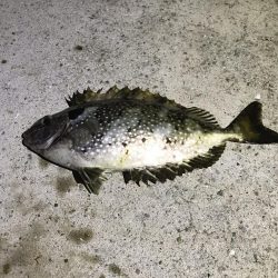 雨の中釣り三昧。