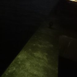 タチウオ時合い短いです。