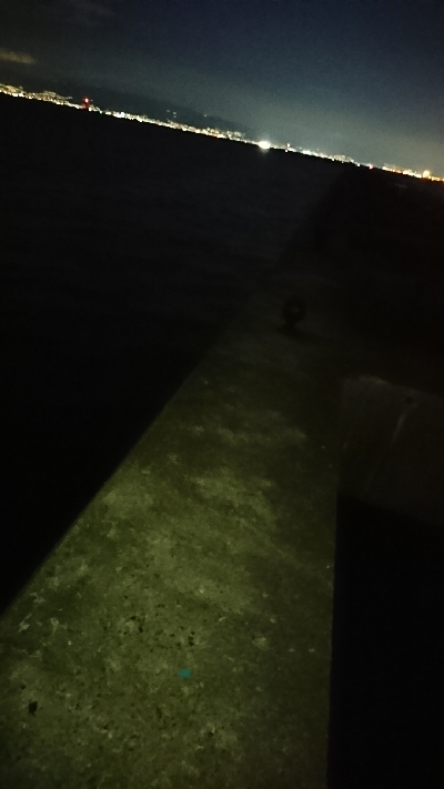 タチウオ時合い短いです。