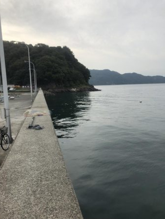 ライトショアジギング