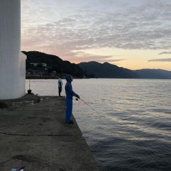 イカは釣れないがいっぱい釣れた!