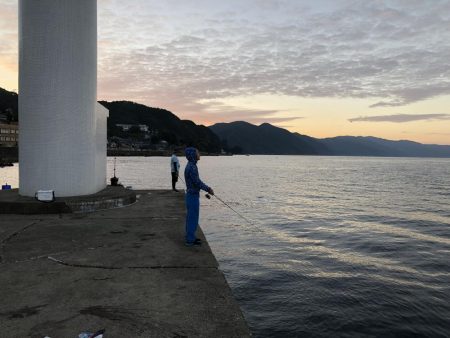 イカは釣れないがいっぱい釣れた!