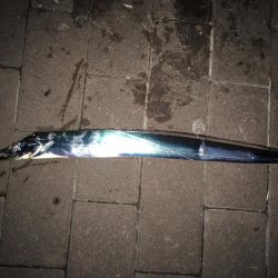 久しぶりの神戸渡船が吉