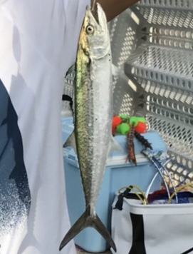 エギングのはずが…