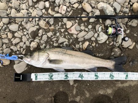 久しぶりの投稿