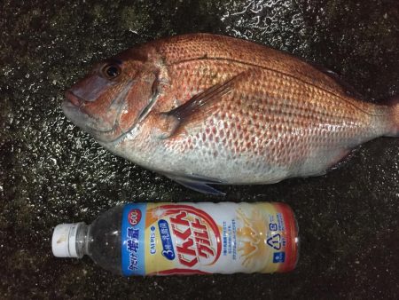 ショアタイラバ