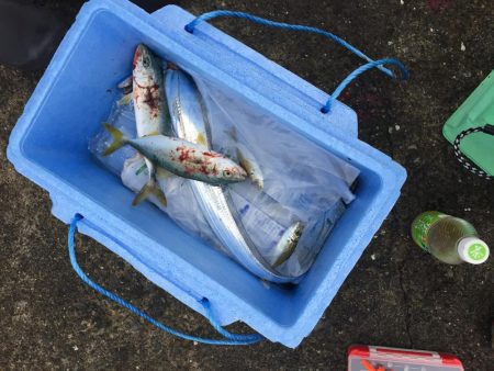 ショアジギング