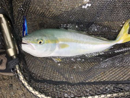 遂にやりました！