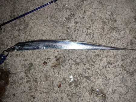 道の駅で初青物!