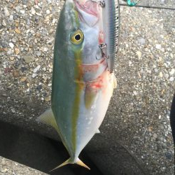 今日も釣れて嬉しい！