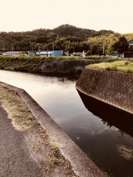台風が過ぎたのでナマズ釣り！