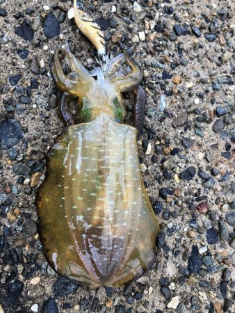 雨が止んだ合間に