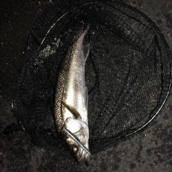 いざリベンジへ