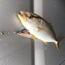 台風が来る前に!