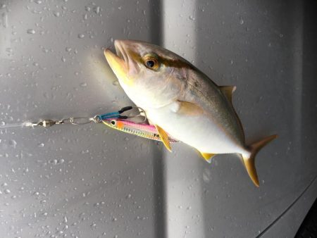 台風が来る前に！