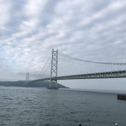 イワシフィーバー