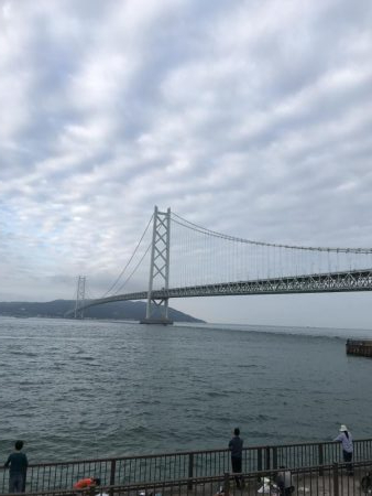 イワシフィーバー