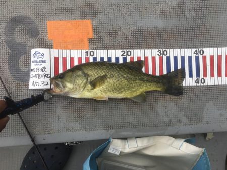 またマグナムクランクで！