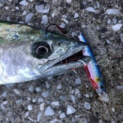 雨のはざまにガツン