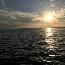 ルアーでは当たりが渋い