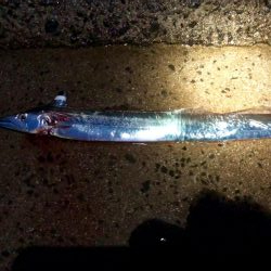 ショアジギング