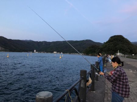 サゴシが釣れました！