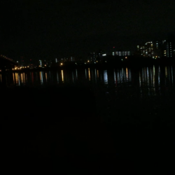 ライトタックルシーバス！のはずが！