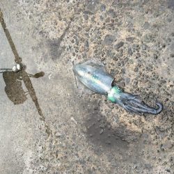 今日しかない・・・