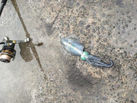 今日しかない・・・