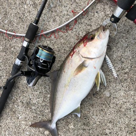 ショアジギ、時々エギング