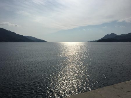 今年初タチウオ