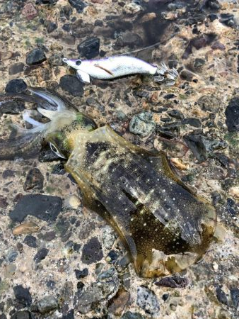 サーフチャレンジ！