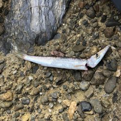 ワインド&ライトワインド