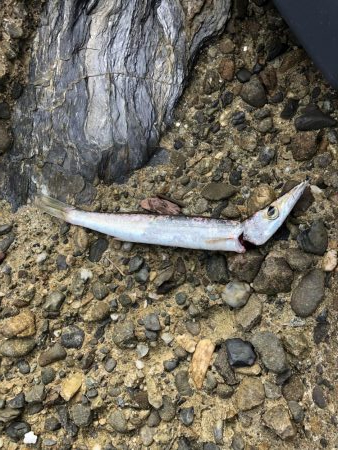 ワインド&ライトワインド