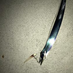 トップでドン！