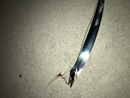 トップでドン！