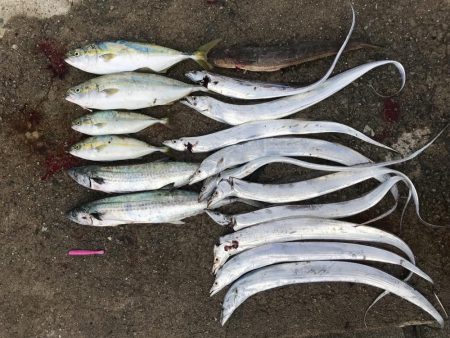 活性高いトップゲーム