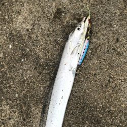 久しぶりの釣行