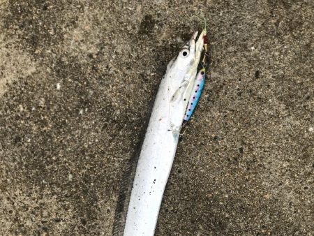 久しぶりの釣行